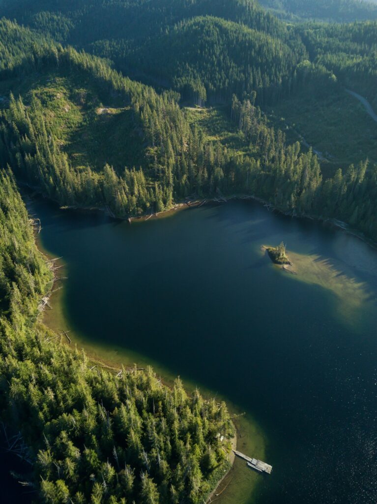 Aerial landscape view of Alice Lake